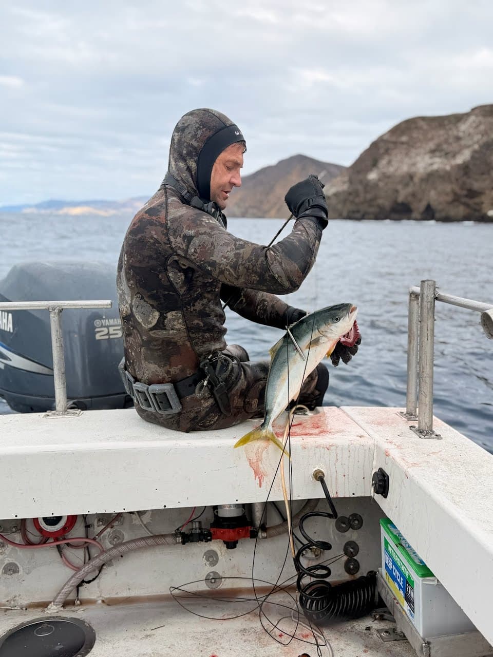 Diver seated on a boat transom removing a spear shaft from a small yellowtail, island coastline behind.